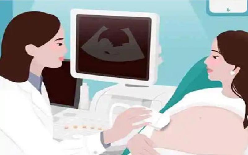 猪髻试管刷代生