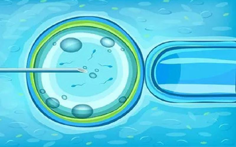 冻卵必须试管代生